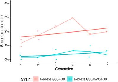 Genetic Stability and Fitness of Aedes aegypti Red-Eye Genetic Sexing Strains With Pakistani Genomic Background for Sterile Insect Technique Applications